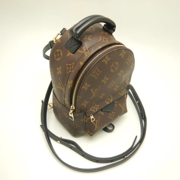 Louis Vuitton Monogram Palm Springs Backpack MINI Brown - Picture 2 of 8